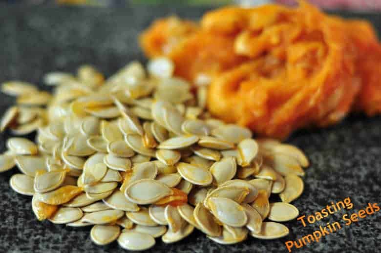 Pumpkin Seeds Description