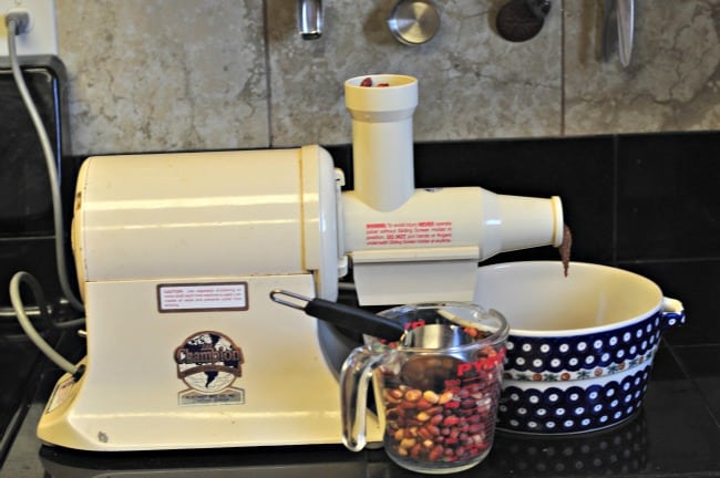 Equipment for making homemade peanut butter on a work surface