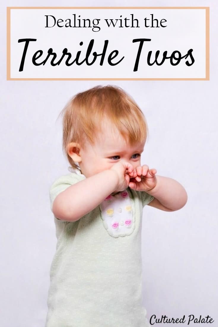 Are The Terrible Twos Really Managing Can Be As Easy