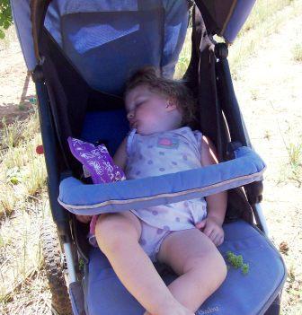 Tiring to Say the Least - Toddler sleeping in a stroller.
