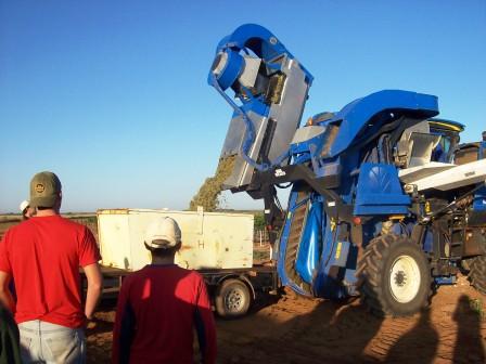 Our First Machine Harvest - Unloading the on board bins.