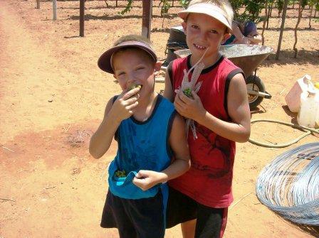 Little boys eating green grapes and smiling!