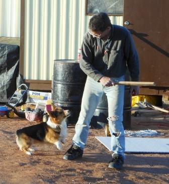 Boomerang Dog - Playing fetch with Bob.