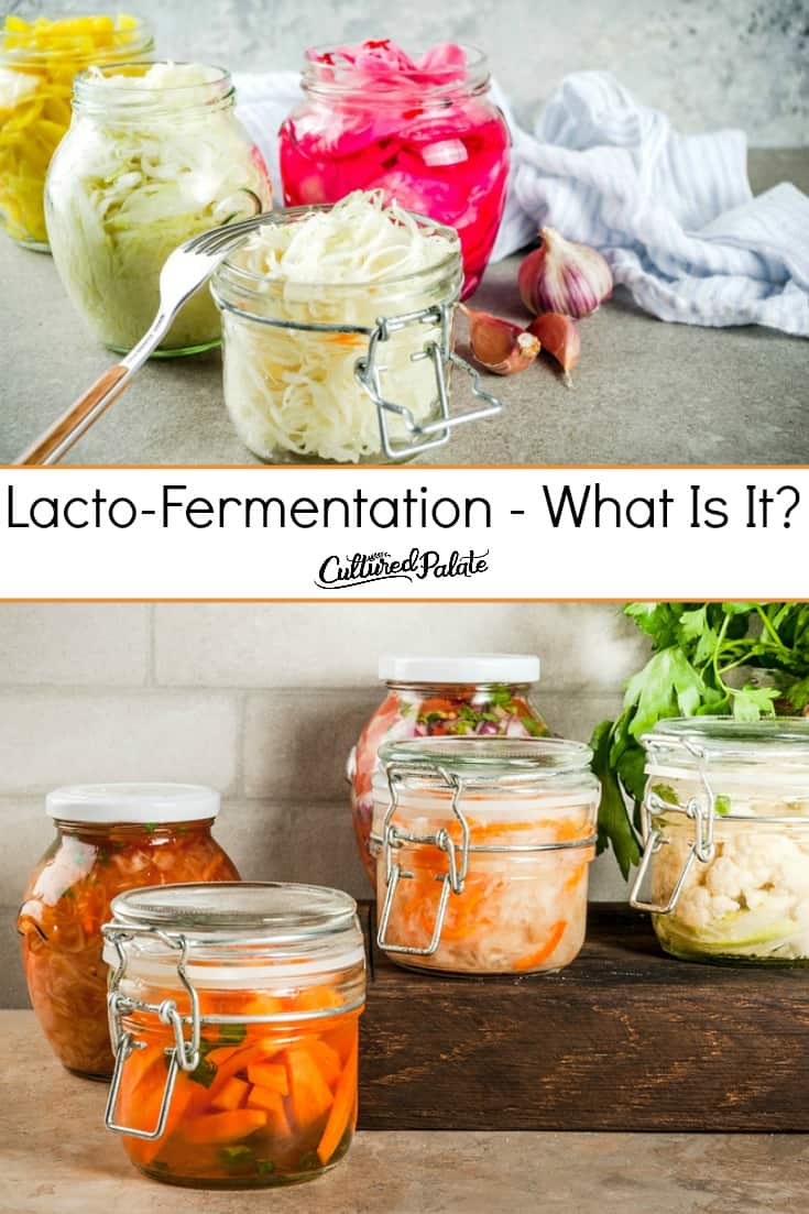 Fermented foods shown in two images from the post Lacto-fermentation - What is it?