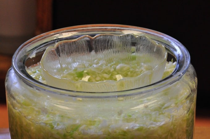 A process shot for how to make sauerkraut