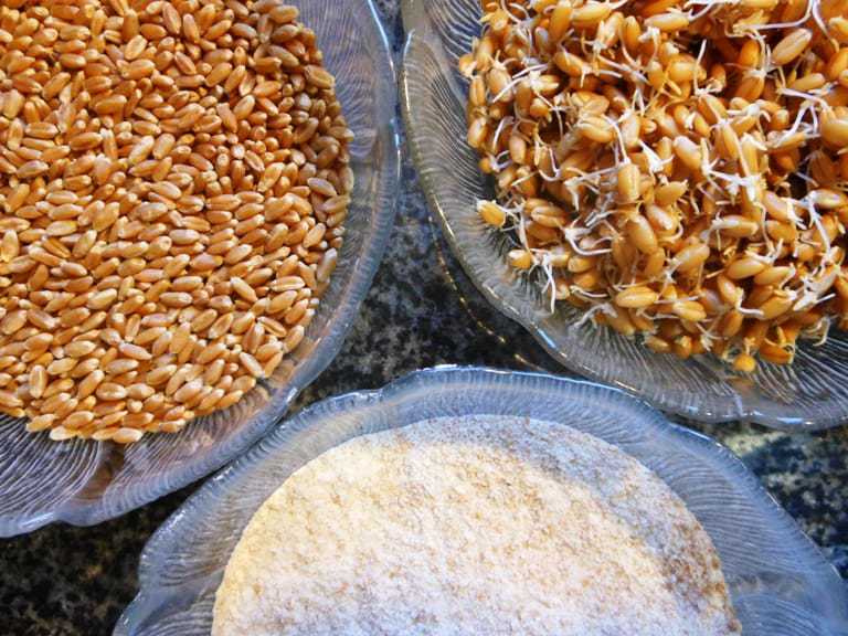 preparing grains