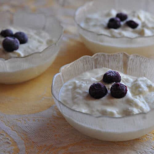 Homemade Plain Yogurt