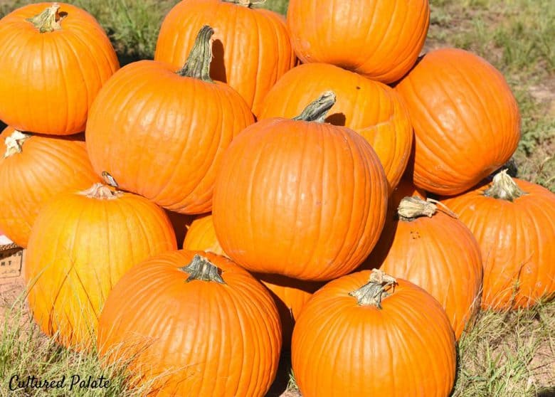 A bunch of pumpkins in a pile in a field. 