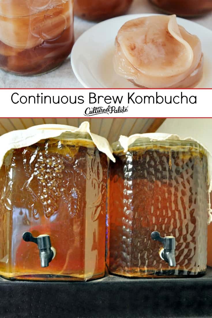 Kombucha shown in a continuous brew kombucha and the scabby with test overlay.
