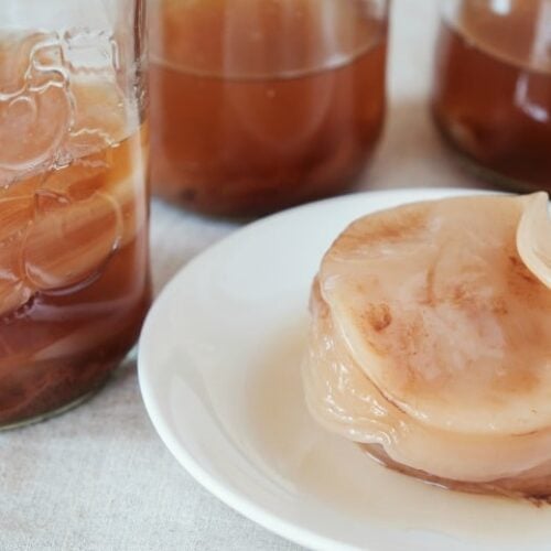 Kombucha scoby shown that is needed for continuous brew kombucha on a white plate with text overlay.