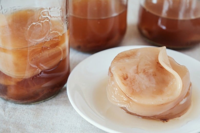 Kombucha scoby shown that is needed for continuous brew kombucha on a white plate with text overlay.