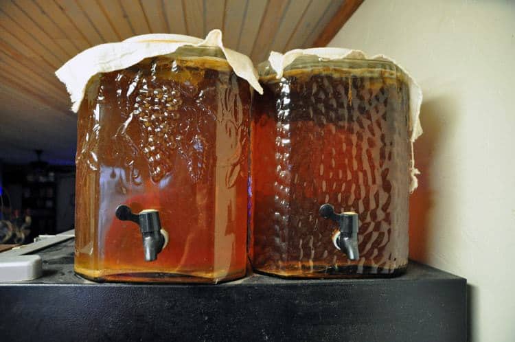 A photo of two large containers filled with continuous brew kombucha