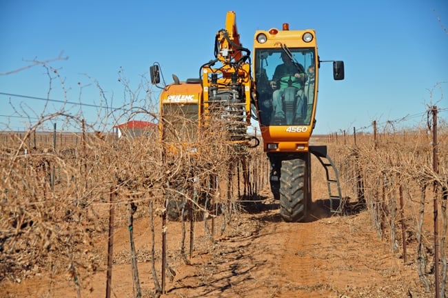Pre-Pruning the Vineyard 2013 - prepruner in action