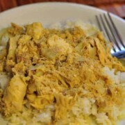 chicken curry on a plate with a fork
