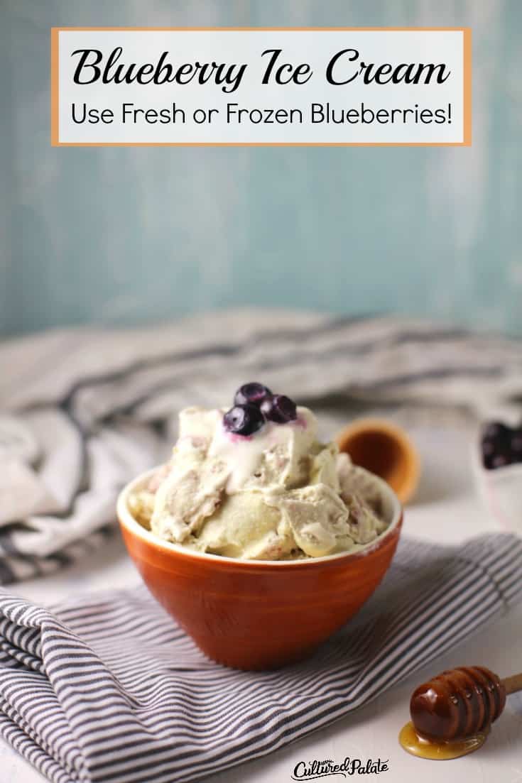 Blueberry ice cream shown in bowl with text overlay.
