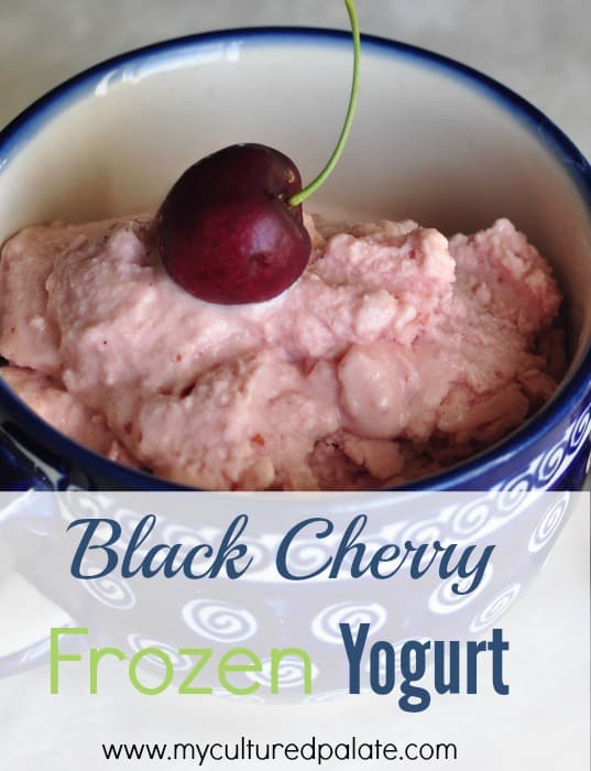 A close up of black cherry frozen yogurt in a blue bowl