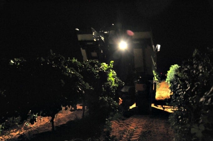 Pellenc harvester over grape row