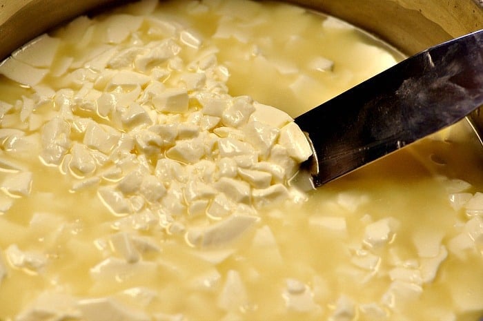 How to make feta cheese process shot of cheese curds