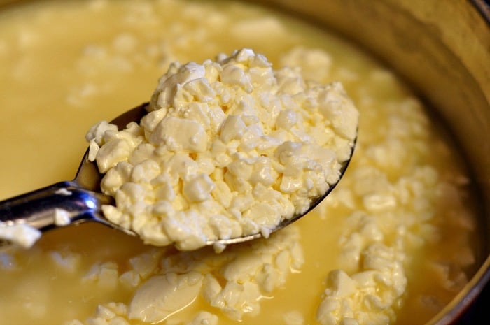 A spoonful of cheese curds, learn how to make feta cheese