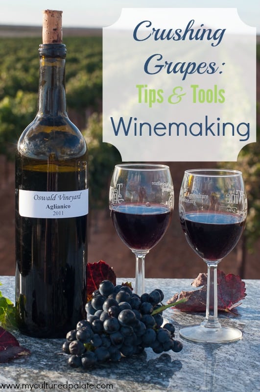 crushing grapes tips and tools winemaking