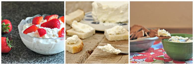 Simple Cheesemaking Collage 2000 - cottage cheese, cream cheese, ricotta cheese