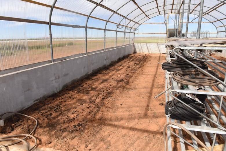 ICF Greenhouse - Winter Garden Planted