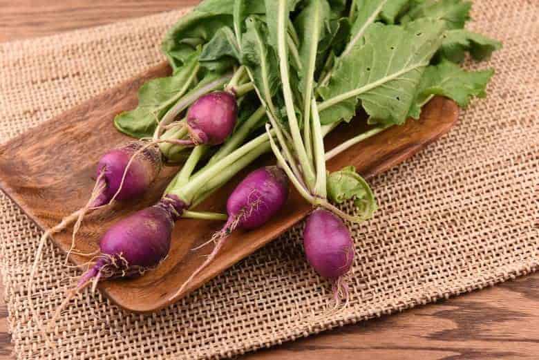 A close up of Radishes to make a gourmet radish sandwich with butter