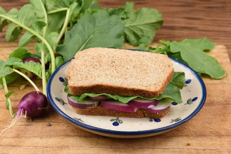 A Gourmet Radish Sandwich on a plate with radishes in the background