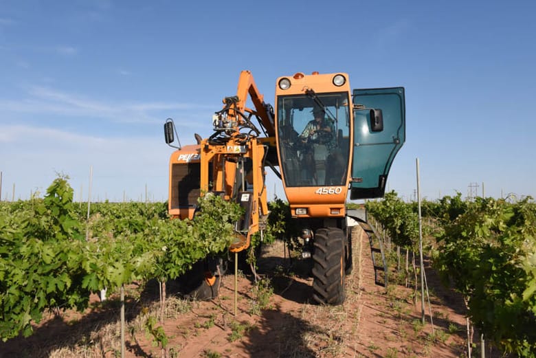 Raising Wires in the Vineyard