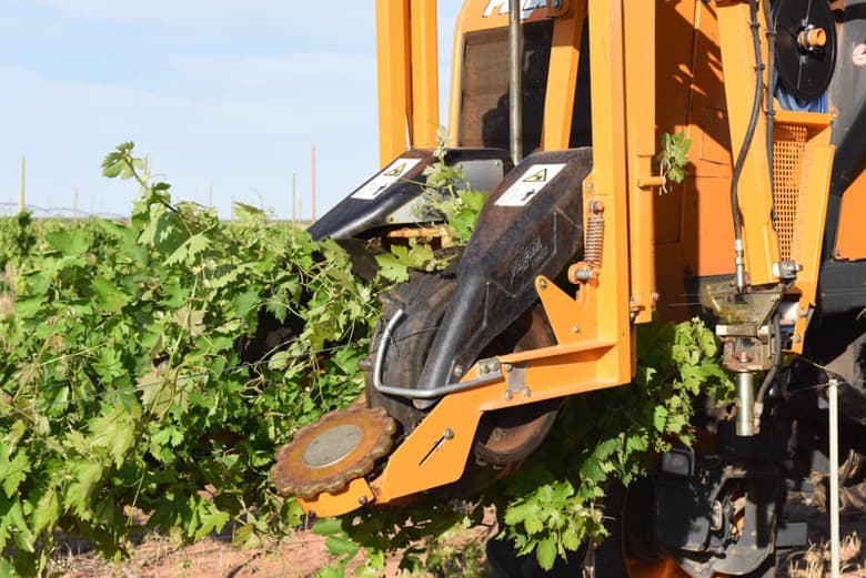 Raising Wires in the Vineyard