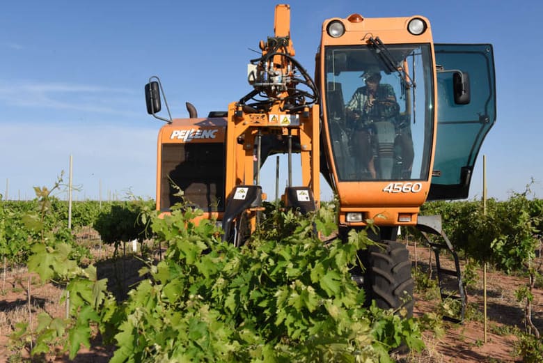 Raising Wires in the Vineyard