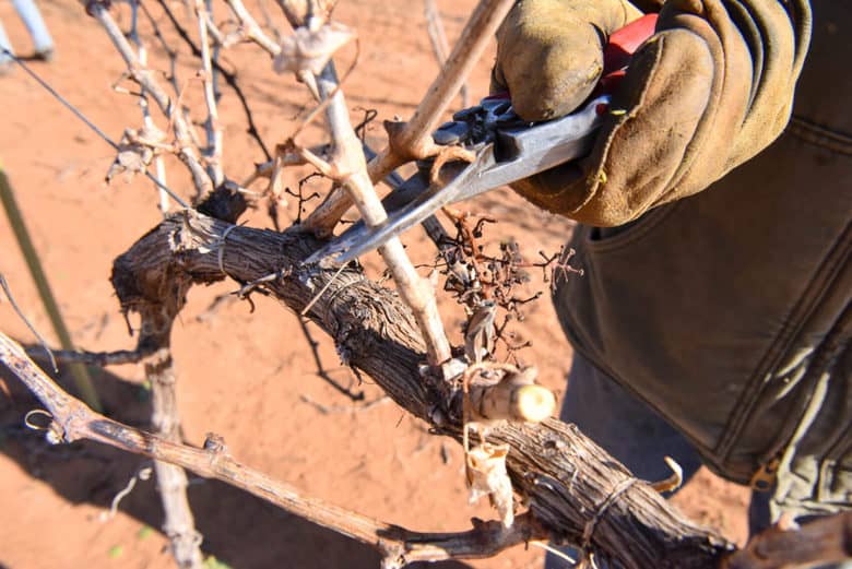 Hand Pruning the Vineyard 2017