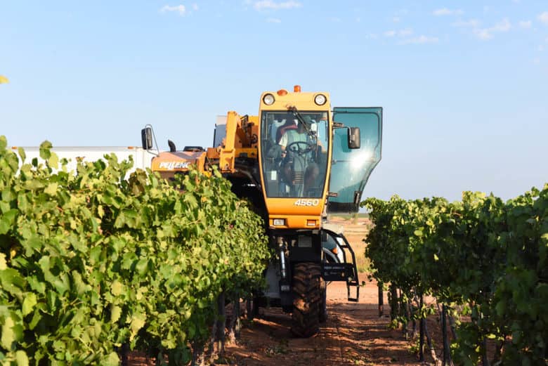 Aglianico Grape Harvest 2017 - Pellenc grape harvester