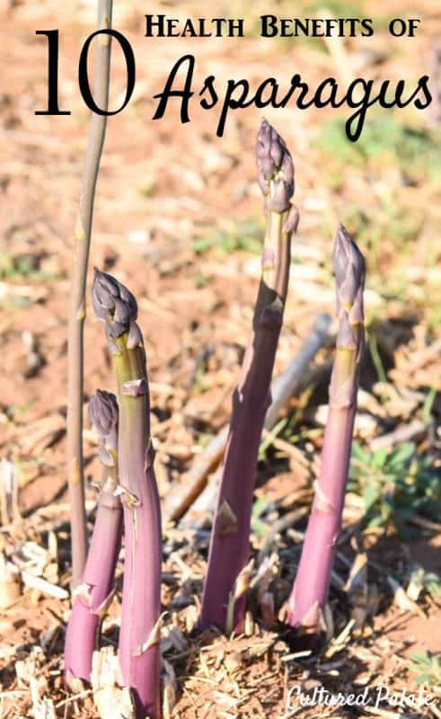 Health Benefits of Asparagus - showing purple passion