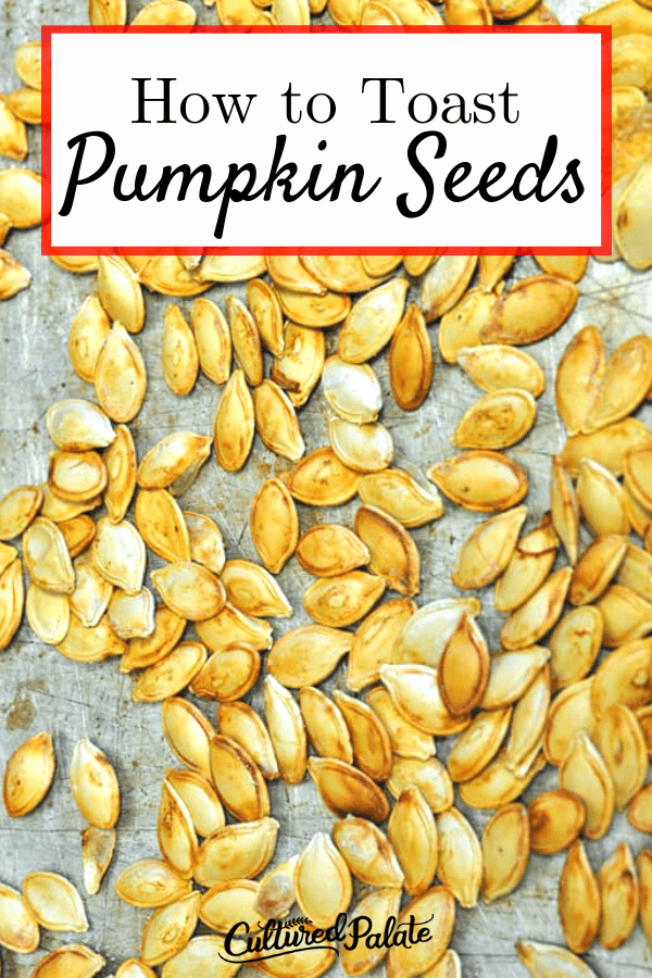 how-to-toast-pumpkin-seeds-toasting-pumpkin-seeds-cultured-palate