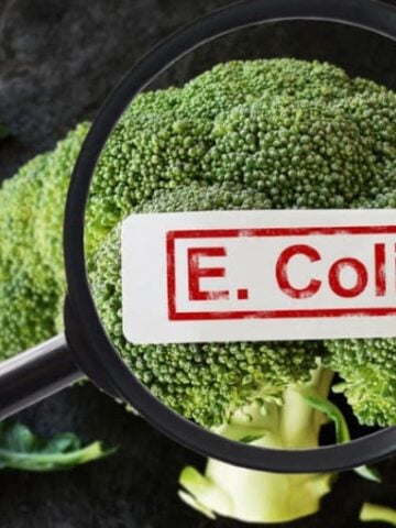 Broccoli shown through a magnifying glass with E. coli in text overlay.