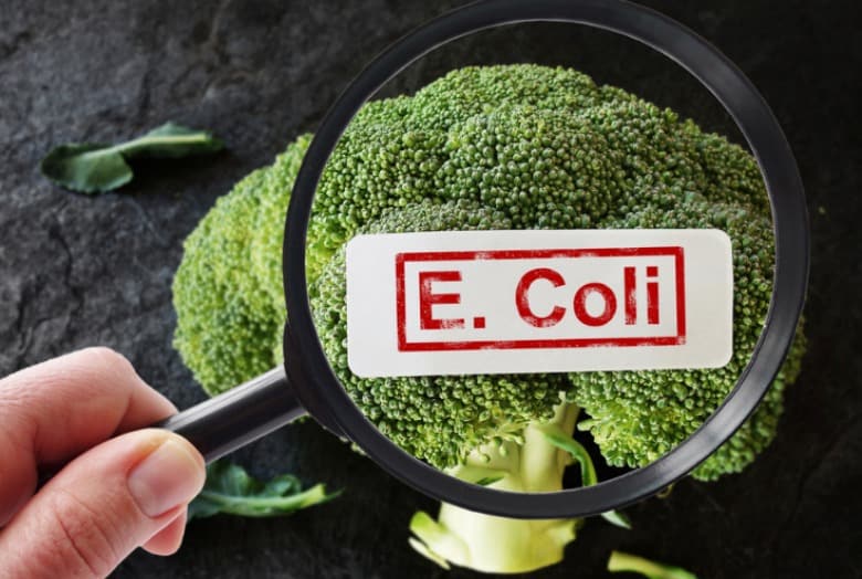 Broccoli shown through a magnifying glass with E. coli in text overlay.